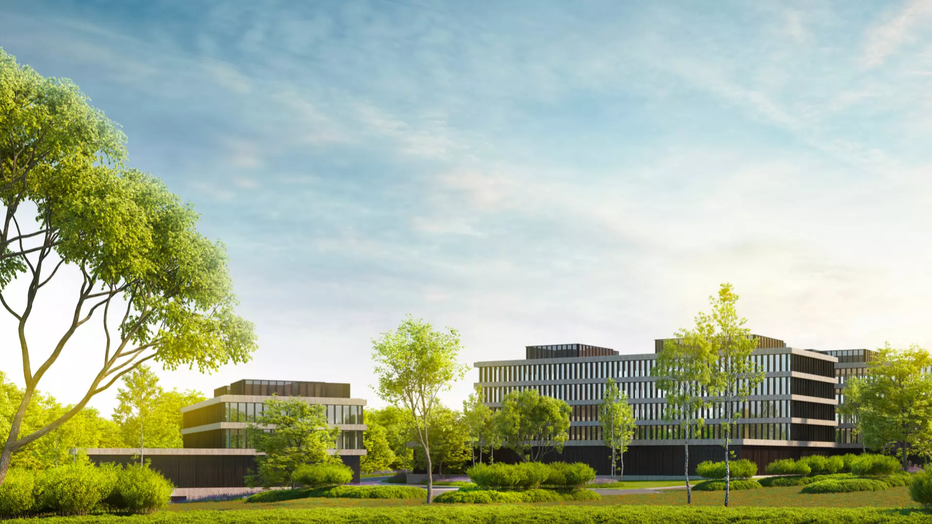 Het opbloeiende kantoorecosysteem rondom Keiberg
